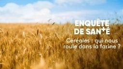 GDEC-Reportage