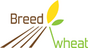 Logo Breedwheat