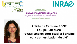 vignette caroline AFBV
