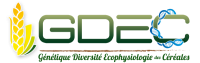 logo GDEC 2