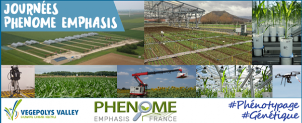 journée phenome